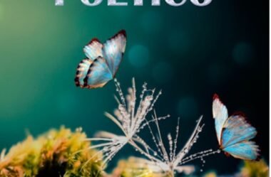 JARDIM POÉTICO: REVISTA CONEXÃO LITERATURA