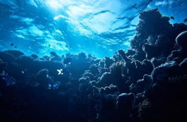 ÁGUAS ABISSAIS – Wanda Rop