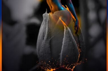 SOU INTENSA – Poeta Wanda Rop