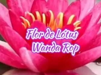 Aprecie o Poema “Flor de Lótus” – Wanda Rop, do novo livro com lançamento em breve “Entre Pétalas, Desejos e Paixões”