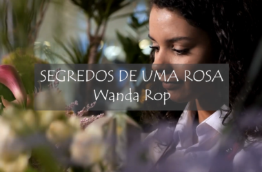 Exposição Virtual de Poesias CAMINHANDO PELAS LETRAS, 2ª Edição, MULHER. Poema de Wanda Rop “Segredos de uma Rosa”