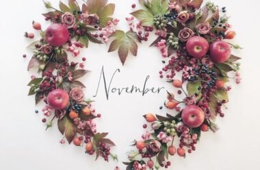 Doce Novembro🩷🧚✨