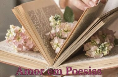 O Despertar de 2026: Um Novo Ciclo de Afetos no Amor em Poesias